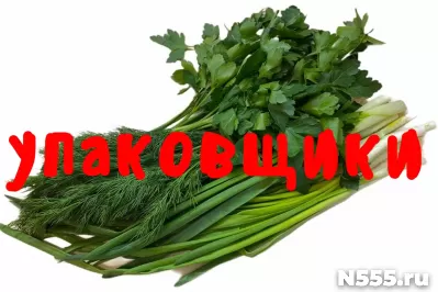 Упаковщики Работа без опыта Вахта